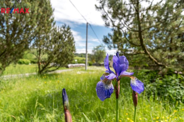 Prodej rodinného domu, Čermná, 280 m2