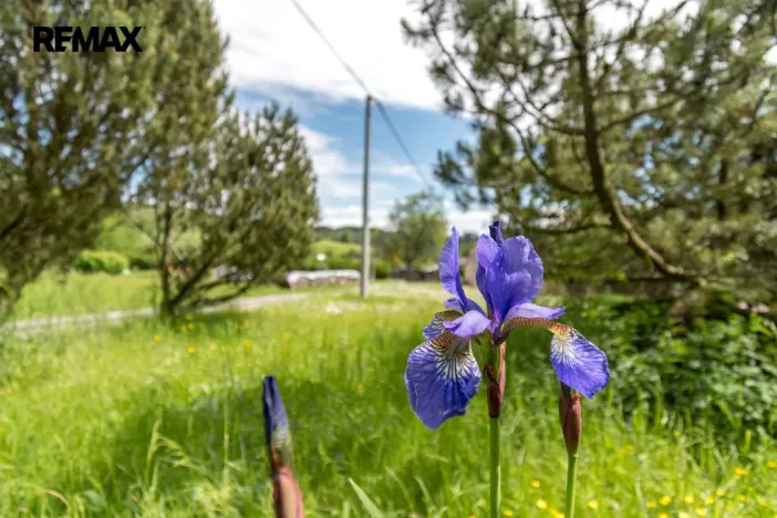 Prodej rodinného domu, Čermná, 280 m2