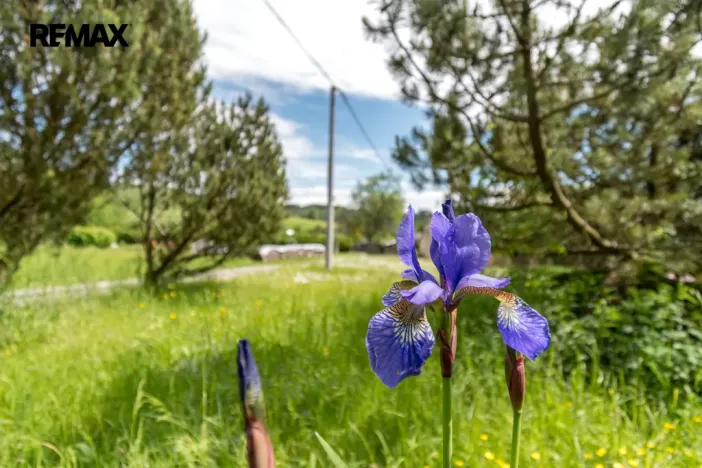 Prodej rodinného domu, Čermná, 280 m2