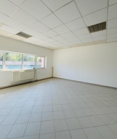 Pronájem výrobních prostor, Česká Lípa - Dubice, U Pískovny, 250 m2