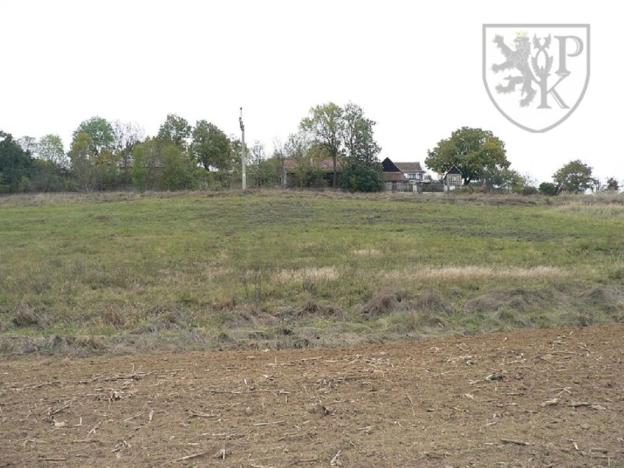 Prodej pozemku pro bydlení, Drhovle - Dubí Hora, 2633 m2