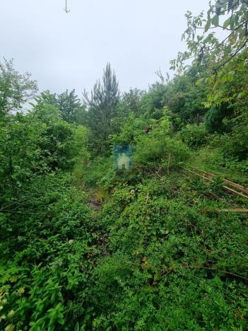 Prodej zahrady, Zdiby, Skopec, 69 m2