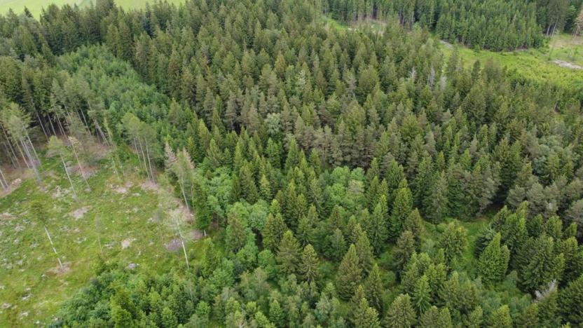 Prodej lesa, Kladno, 19588 m2