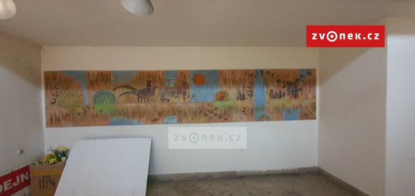 Pronájem obchodního prostoru, Hluk, 365 m2