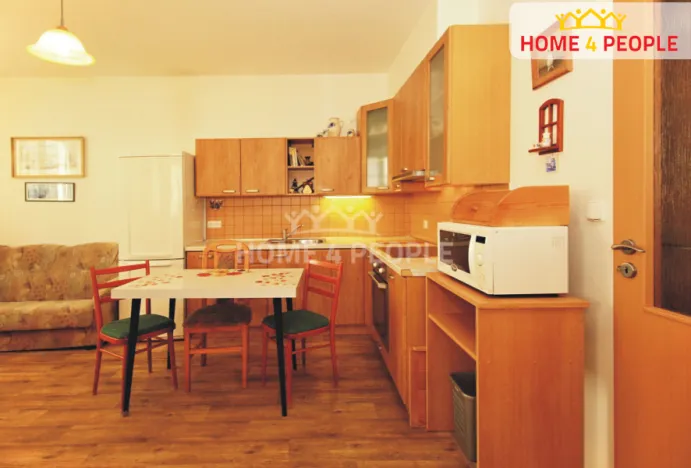 Pronájem bytu 1+kk, Bystřice, Nová, 55 m2