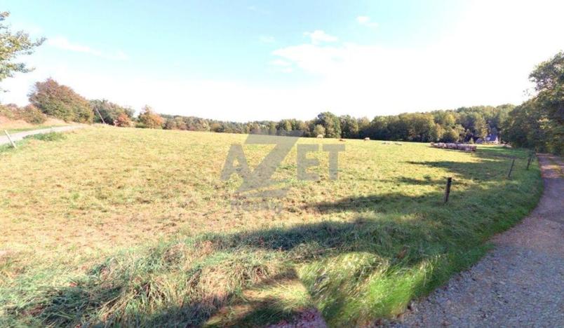 Prodej zemědělské půdy, Český Těšín - Mistřovice, 25075 m2