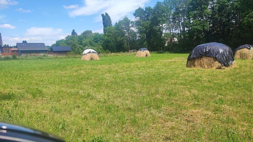 Prodej zahrady, Vyškov - Opatovice, 670 m2