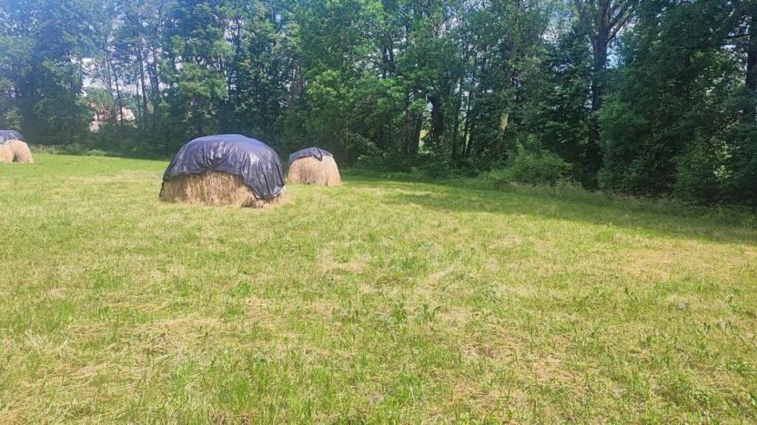 Prodej zahrady, Vyškov - Opatovice, 670 m2