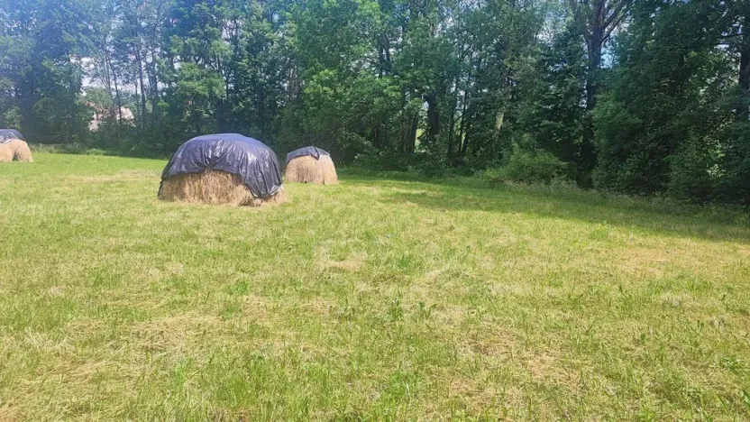 Prodej zahrady, Vyškov - Opatovice, 670 m2