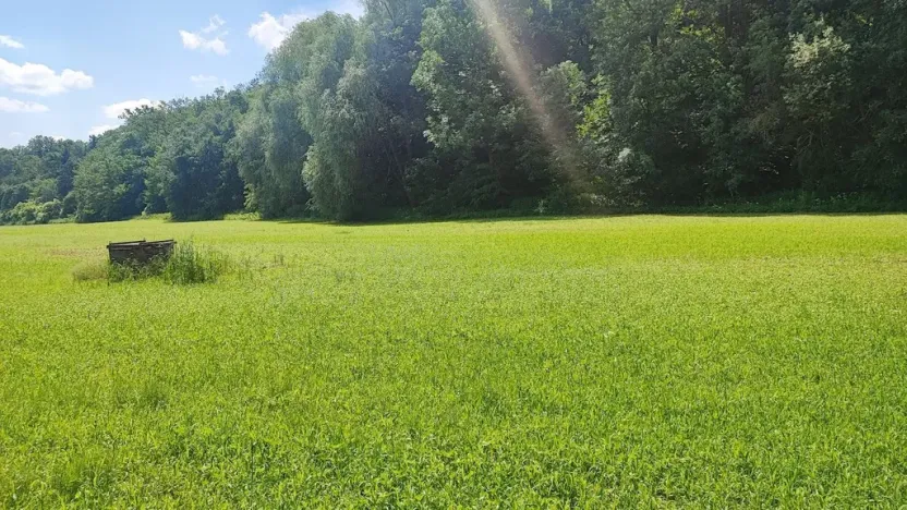 Prodej zahrady, Vyškov - Opatovice, 670 m2