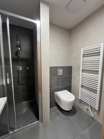 Pronájem bytu 1+kk, Olomouc - Neředín, Frištenského, 32 m2