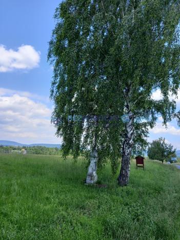 Prodej zahrady, Liběšice - Zimoř, 8000 m2