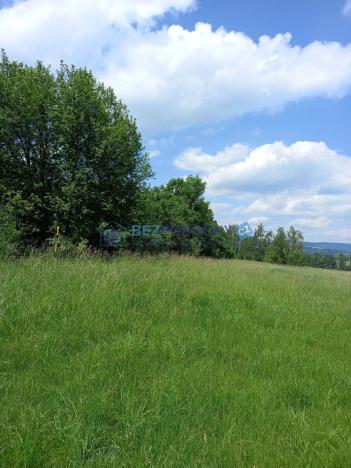 Prodej zahrady, Liběšice - Zimoř, 8000 m2