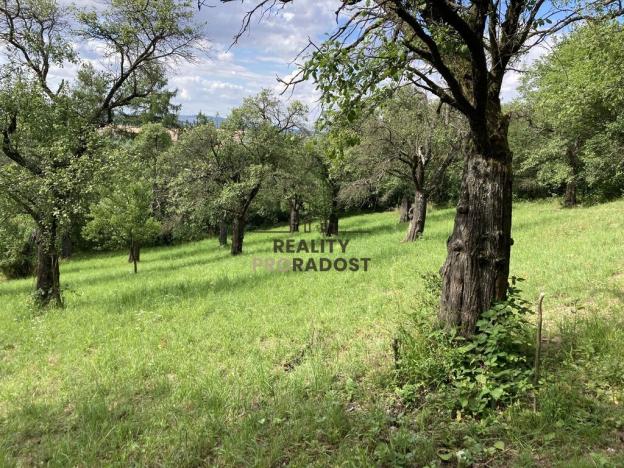 Prodej sadu/vinice, Koryčany, 4253 m2