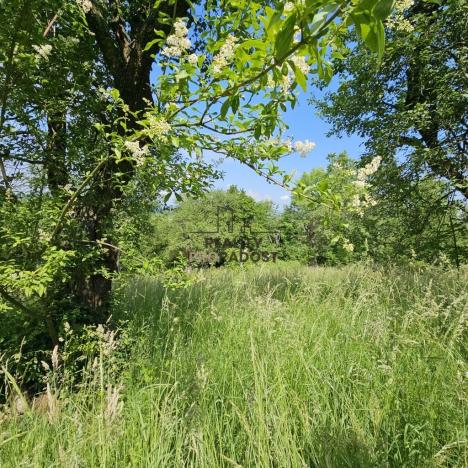 Prodej sadu/vinice, Koryčany, 4253 m2