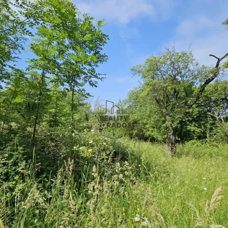 Prodej sadu/vinice, Koryčany, 4253 m2