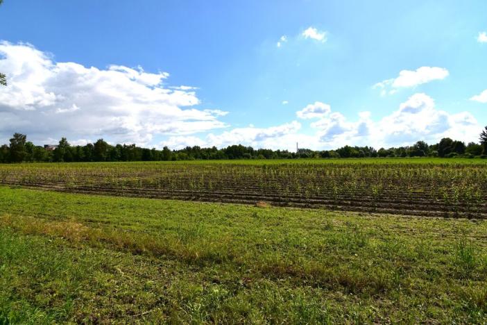 Prodej zemědělské půdy, Plzeň, Ke Slonům, 36521 m2