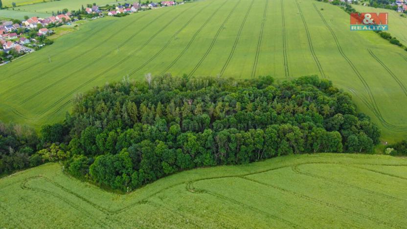 Prodej pole, Tuřany - Byseň, 27000 m2