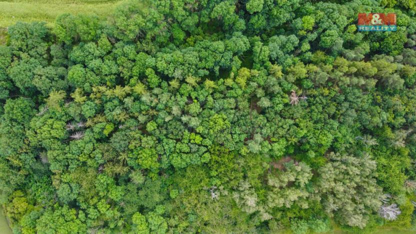 Prodej pole, Tuřany - Byseň, 27000 m2