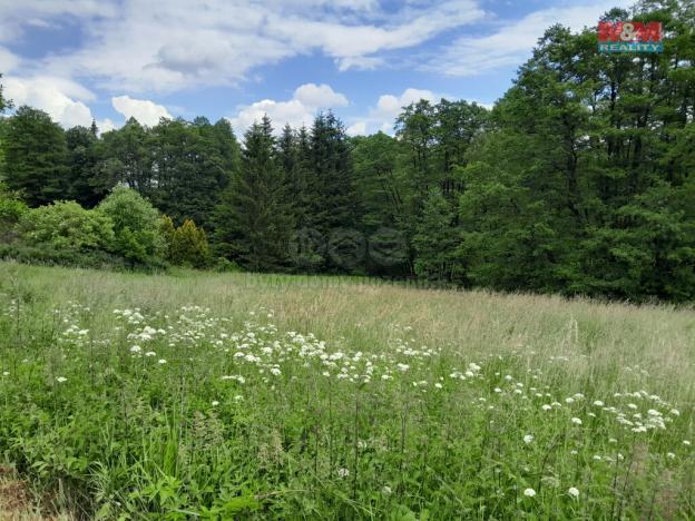 Prodej trvalého travního porostu, Oselce - Kotouň, 19732 m2