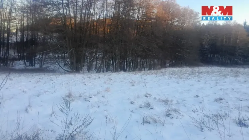 Prodej trvalého travního porostu, Oselce - Kotouň, 19732 m2