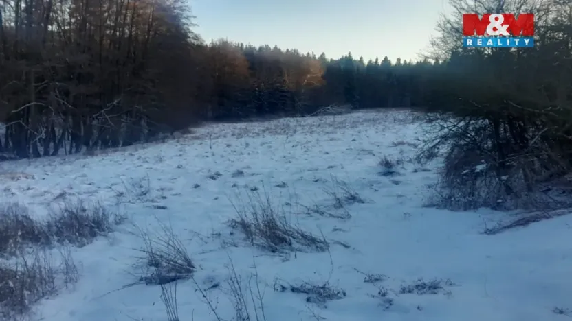 Prodej trvalého travního porostu, Oselce - Kotouň, 19732 m2