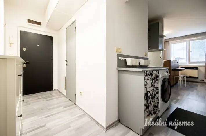 Pronájem bytu 1+kk, Praha - Vinohrady, Moravská, 27 m2
