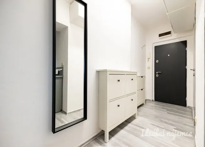 Pronájem bytu 1+kk, Praha - Vinohrady, Moravská, 27 m2