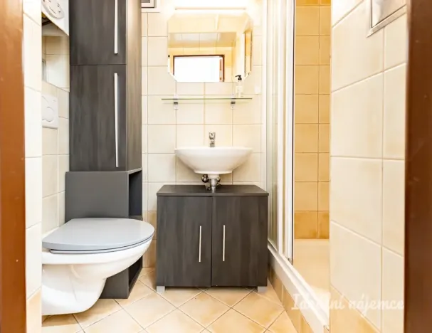 Pronájem bytu 1+kk, Praha - Vinohrady, Moravská, 27 m2