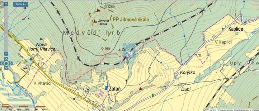 Prodej trvalého travního porostu, Lenora, 3129 m2