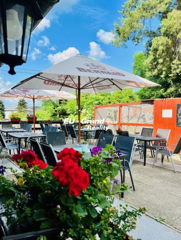 Prodej rodinného domu, Doubice, 2000 m2