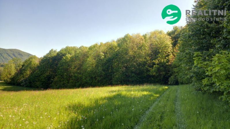 Prodej lesa, Ženklava, 15096 m2