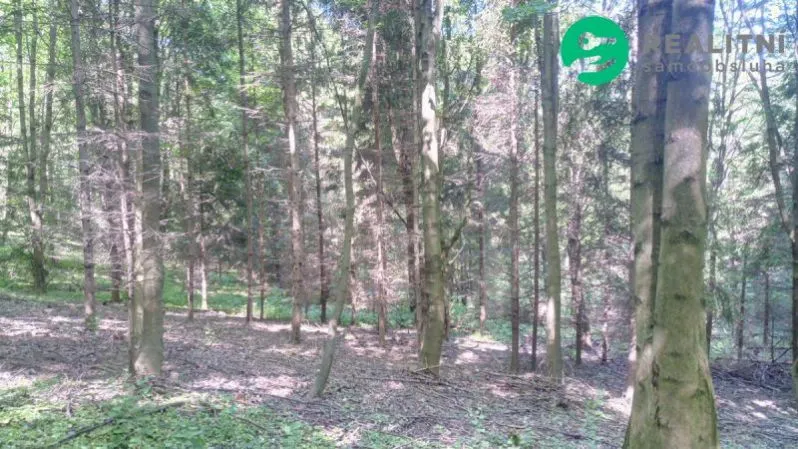 Prodej lesa, Ženklava, 15096 m2