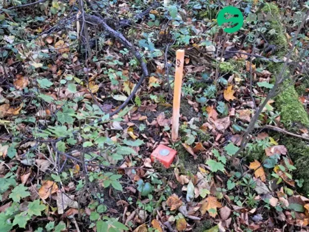 Prodej lesa, Ženklava, 15096 m2