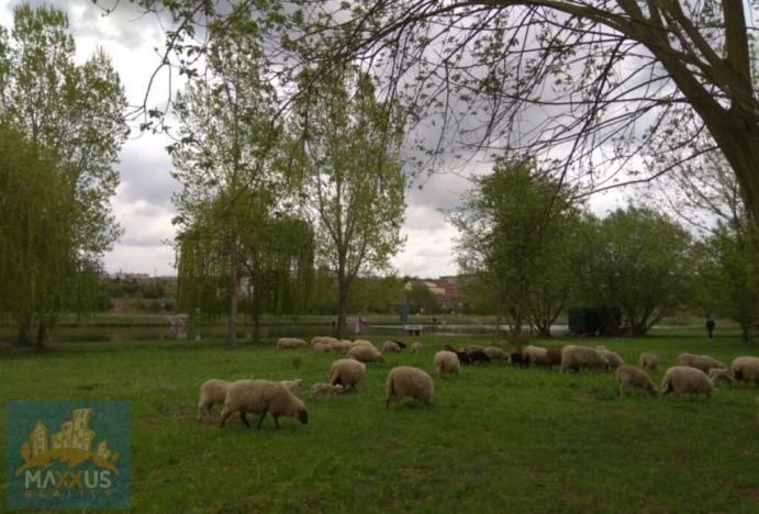 Pronájem zahrady, Praha - Lahovice, 200 m2