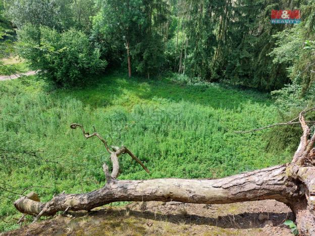 Prodej louky, Vysoká, 1003 m2