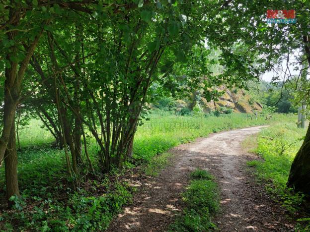 Prodej louky, Vysoká, 1003 m2