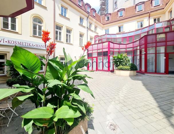 Pronájem obchodního prostoru, Praha - Nové Město, Myslíkova, 424 m2