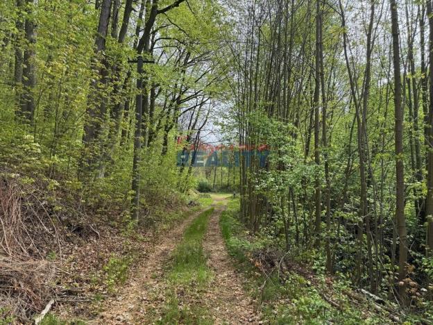 Prodej pozemku pro komerční výstavbu, Nové Hrady - Údolí, 2759 m2