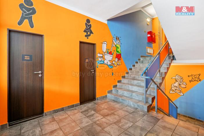 Prodej obchodního prostoru, Ústí nad Labem - Střekov, Truhlářova, 3086 m2