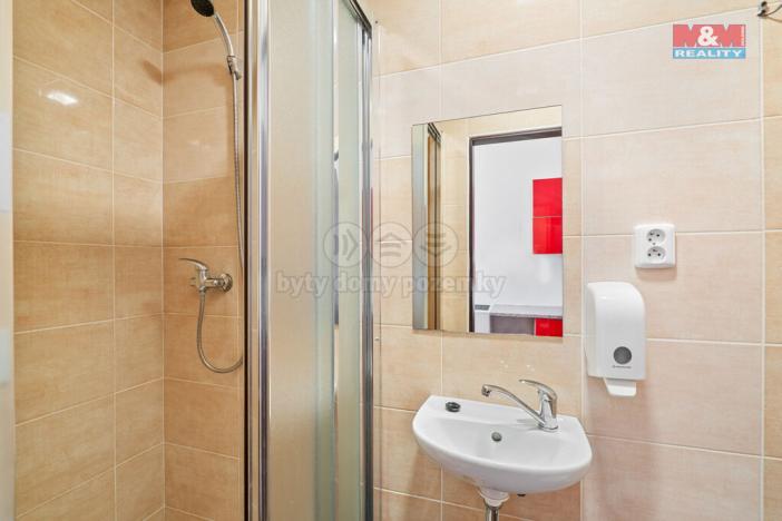 Prodej obchodního prostoru, Ústí nad Labem - Střekov, Truhlářova, 3086 m2