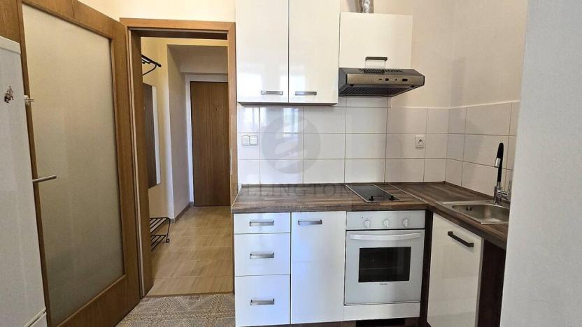 Pronájem bytu 1+kk, Praha - Žižkov, Táboritská, 31 m2