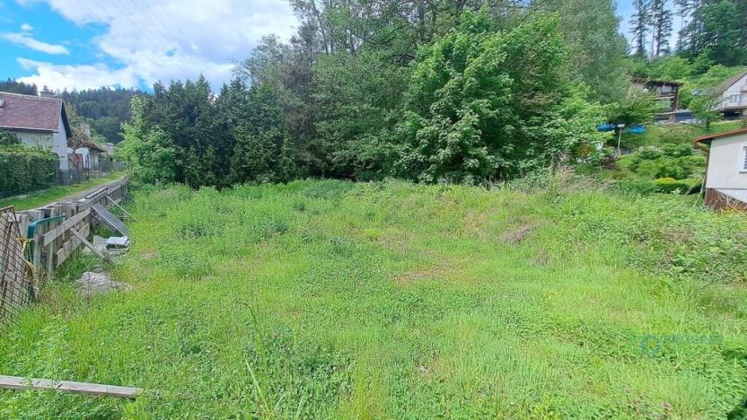 Prodej zahrady, Vsetín - Rokytnice, Amerika, 640 m2