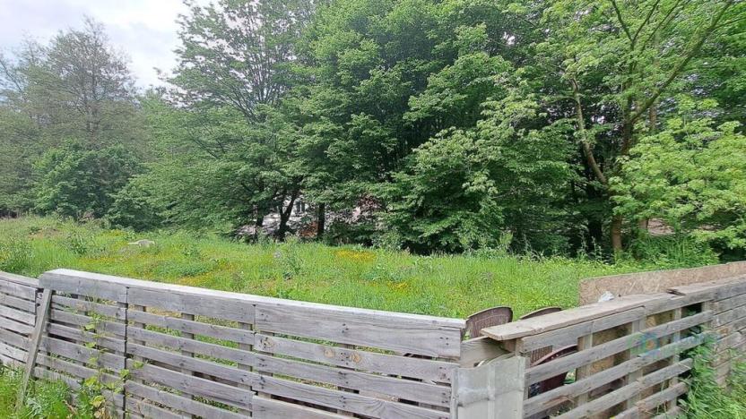 Prodej zahrady, Vsetín - Rokytnice, Amerika, 640 m2