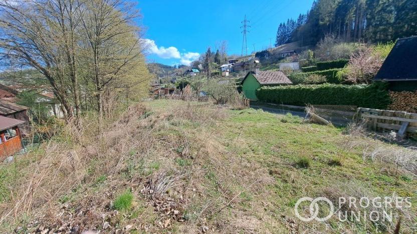 Prodej zahrady, Vsetín - Rokytnice, Amerika, 640 m2