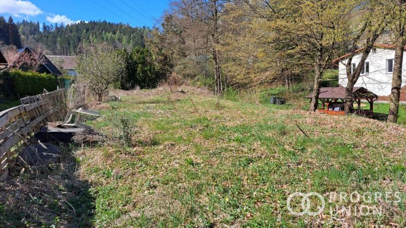 Prodej zahrady, Vsetín - Rokytnice, Amerika, 640 m2