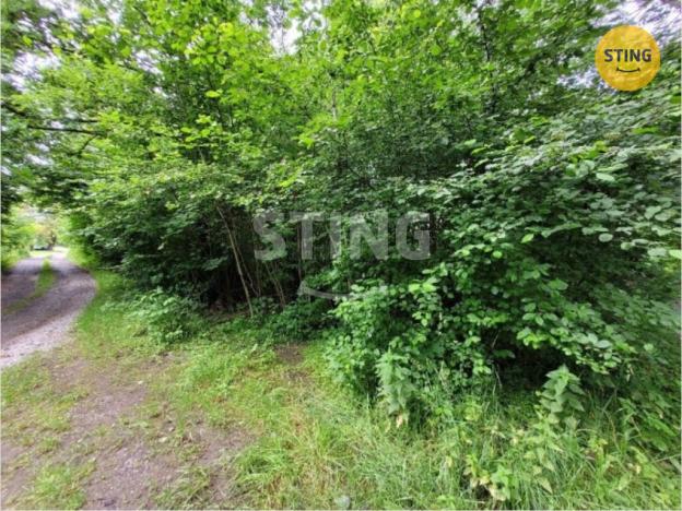 Prodej zahrady, Orlová - Město, 541 m2