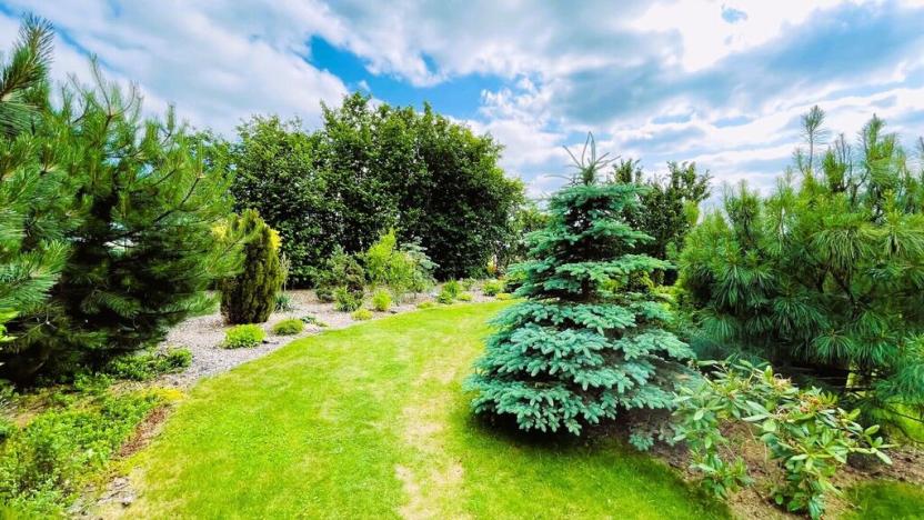 Prodej rodinného domu, Borotín - Libenice, 350 m2