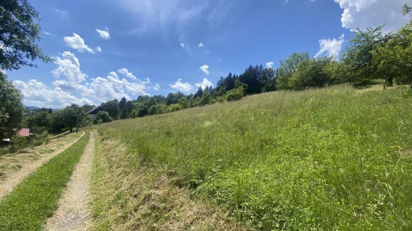 Prodej pozemku pro bydlení, Nový Hrozenkov, 1053 m2