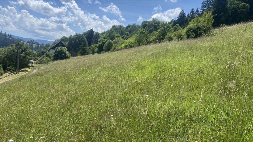 Prodej pozemku pro bydlení, Nový Hrozenkov, 1053 m2